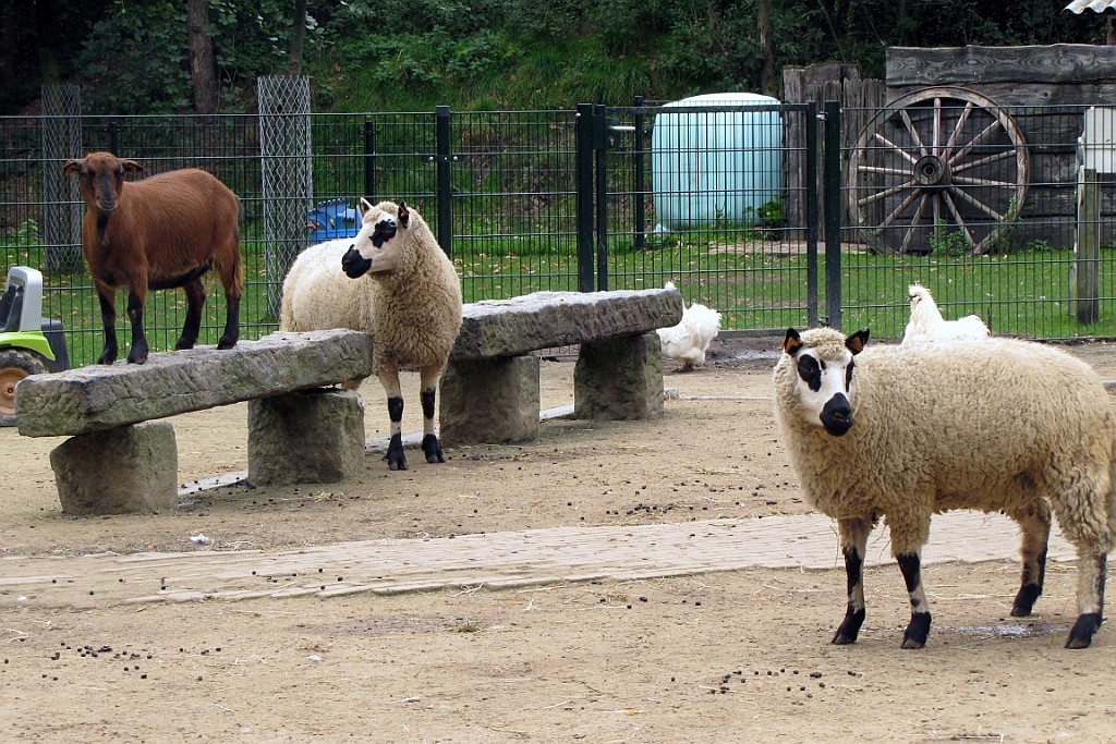 CP0917 (125).JPG - 